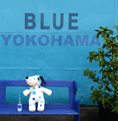 「BLUE BLUE YOKOHAMA」の青い壁の前で、青いベンチに座って横浜ポートサイダーを飲むブルーダル